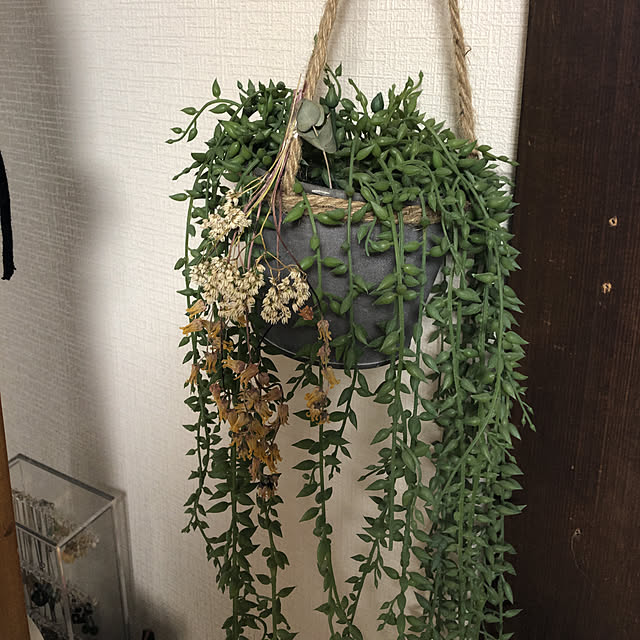 hi-さんの実例写真