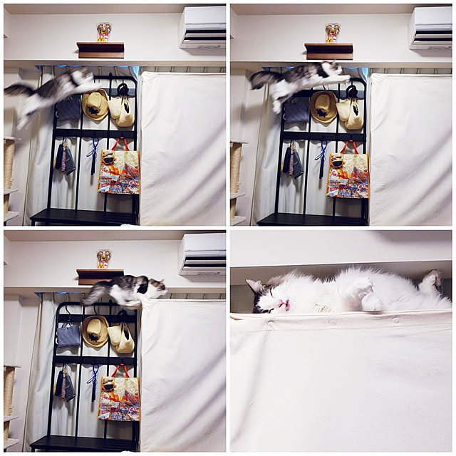 mofさんの実例写真