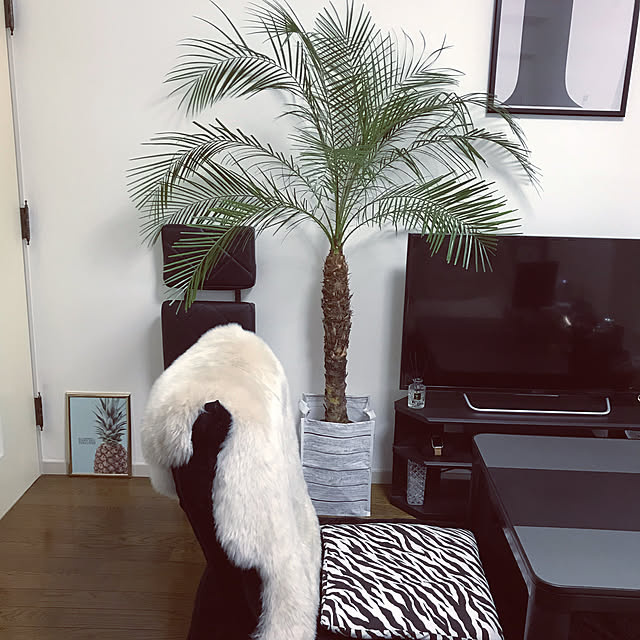 siyonさんの実例写真