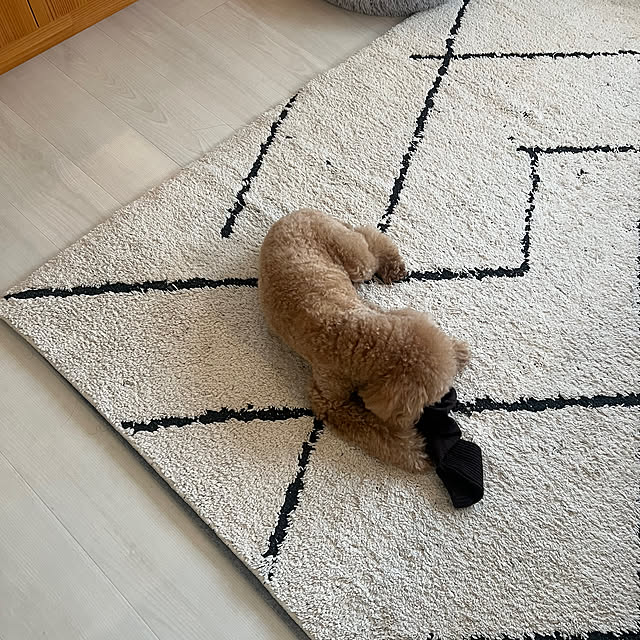 maimai35さんの部屋