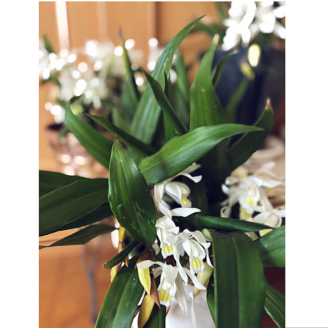 CoCo0617さんの部屋