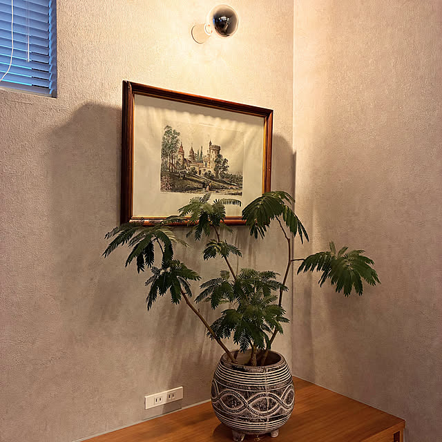 popoさんの部屋