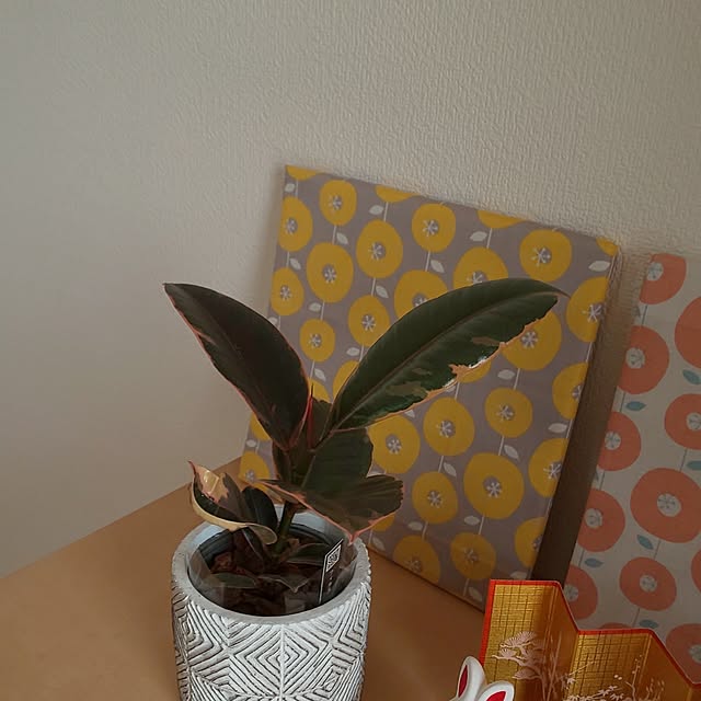 KOHAKUさんの部屋
