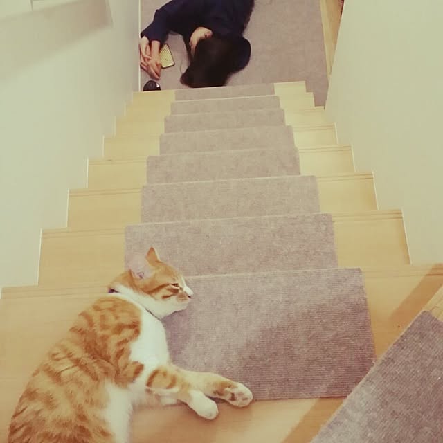 jjeennnniiffeerrさんの実例写真