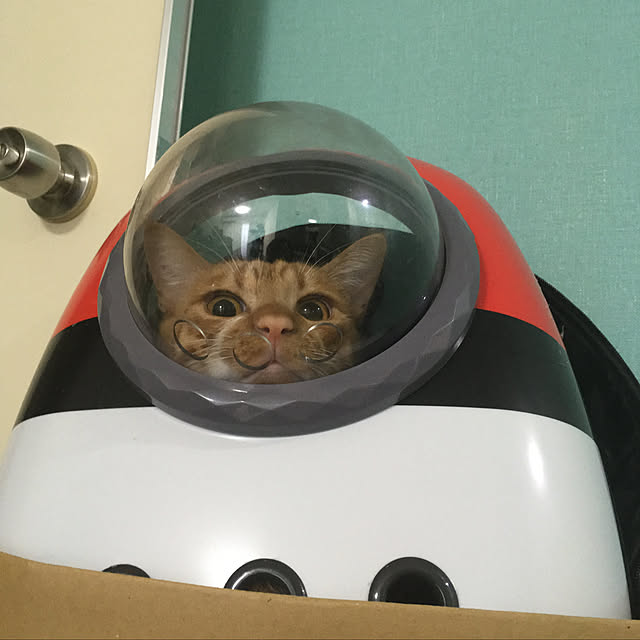 komugiさんの実例写真