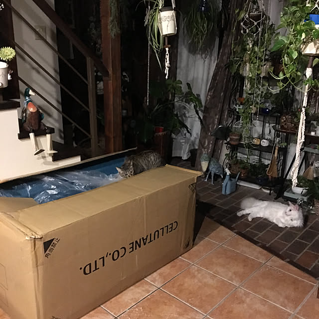 shigimiさんの実例写真