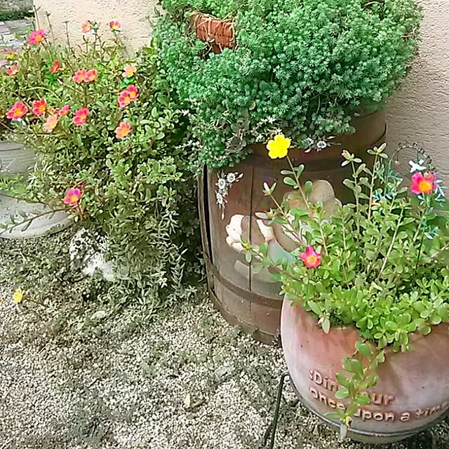 portulacaさんの実例写真