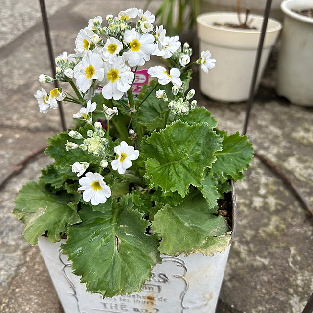 fumikoiさんの部屋