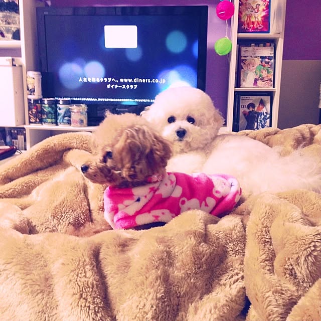 imuhataさんの実例写真