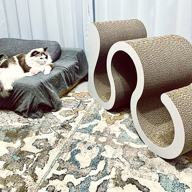 Micccaさんの実例写真
