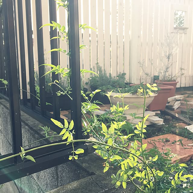 takaさんの実例写真