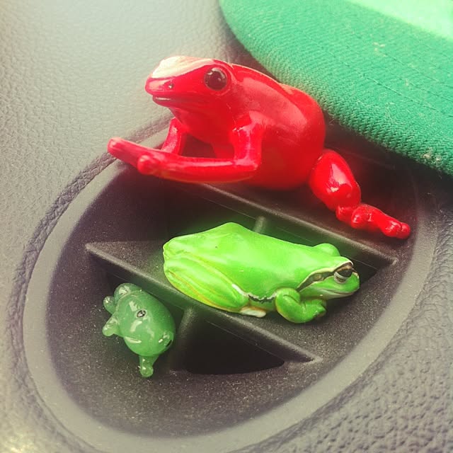 fmさんの実例写真