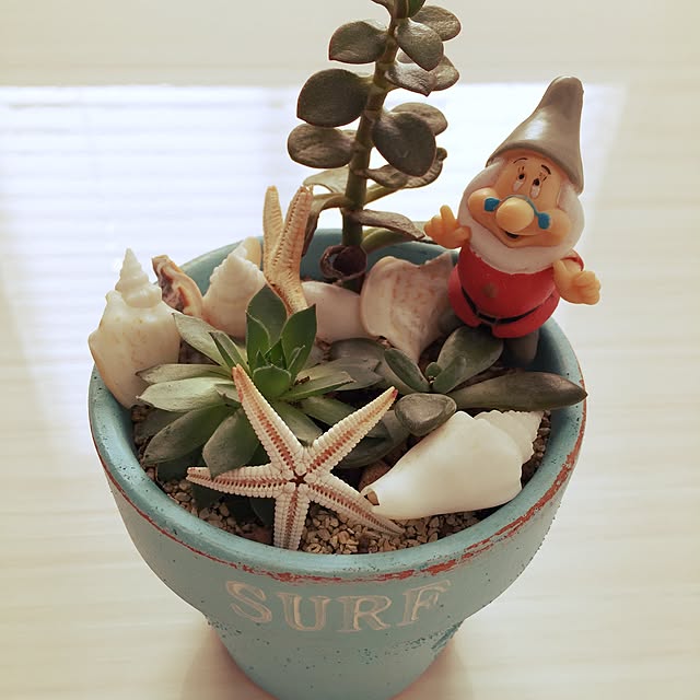 棚/多肉植物のインテリア実例 - 2016-11-13 12:06:49