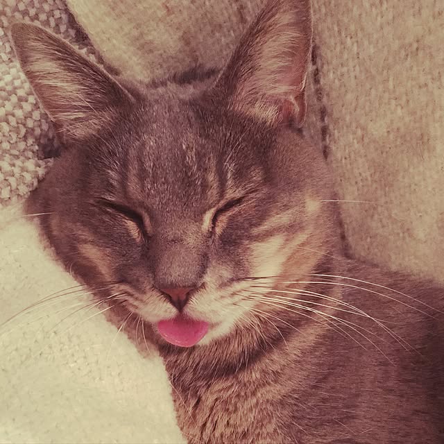 marukoさんの実例写真