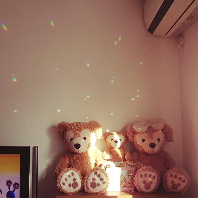 koyukiさんの実例写真