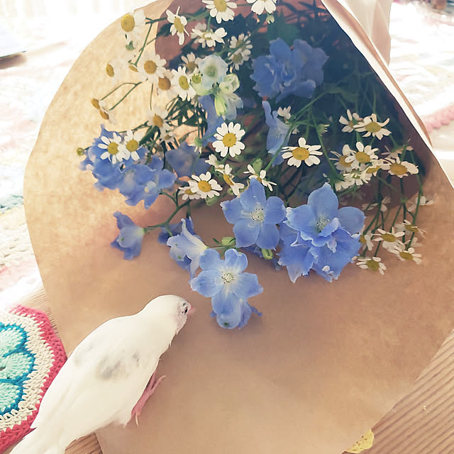 sumireさんの実例写真