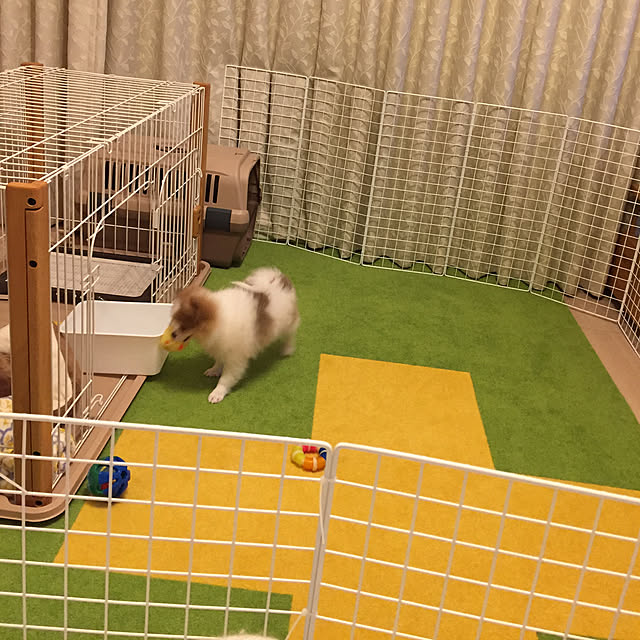 yukipoohさんの実例写真