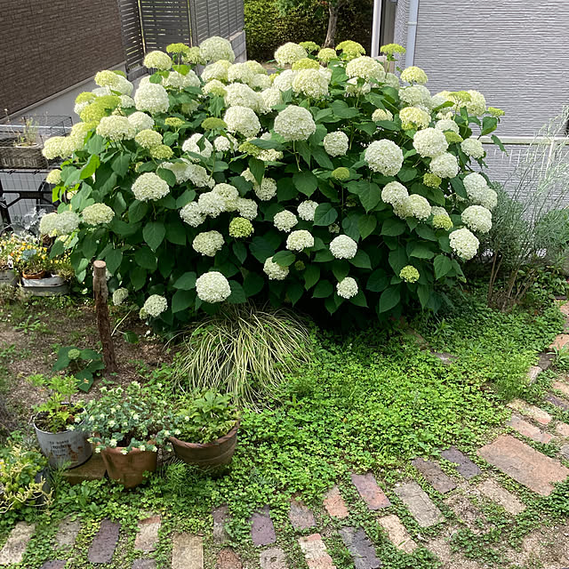 yukieさんの実例写真