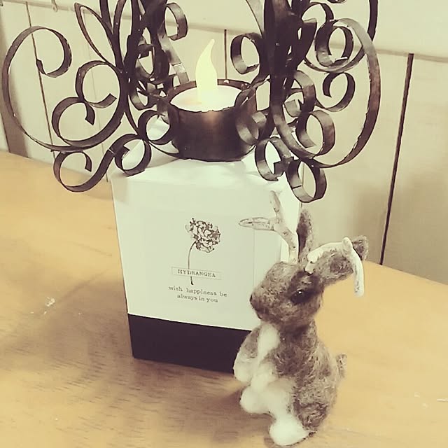 jankenkenさんの実例写真