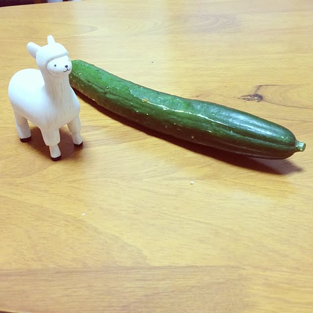 kotetsuさんの実例写真