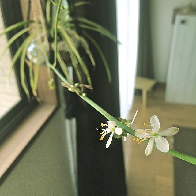 Tom.さんの実例写真