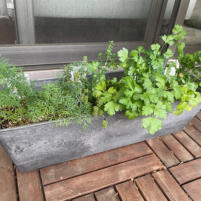 juさんの実例写真