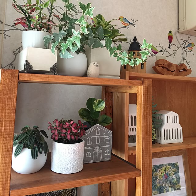 kjywyさんの実例写真