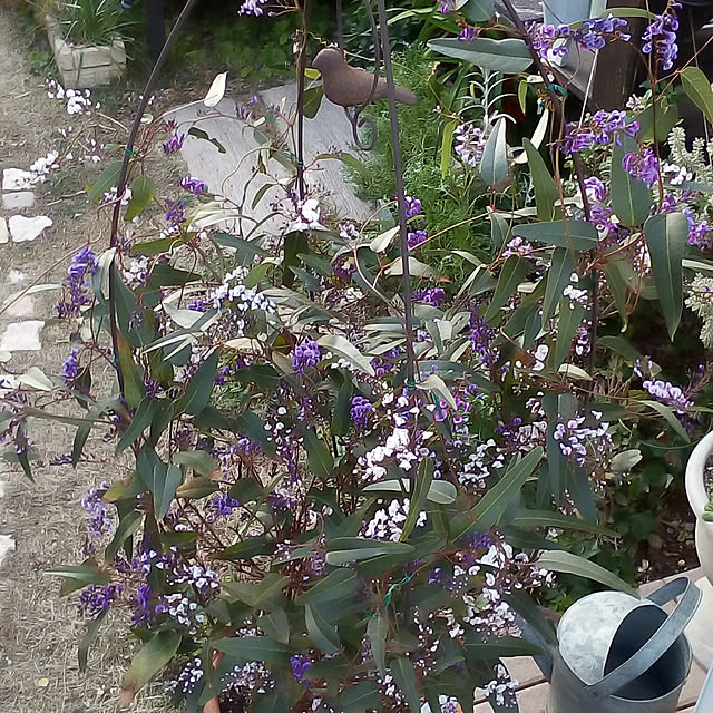 mariagardenさんの実例写真