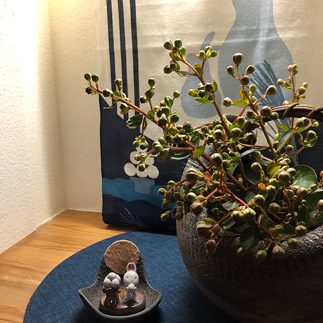 ikubooさんの実例写真