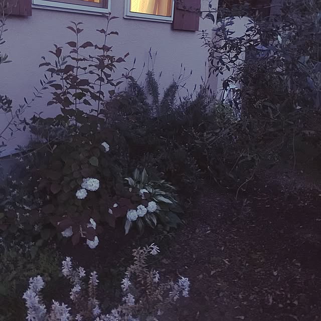 yumoさんの実例写真