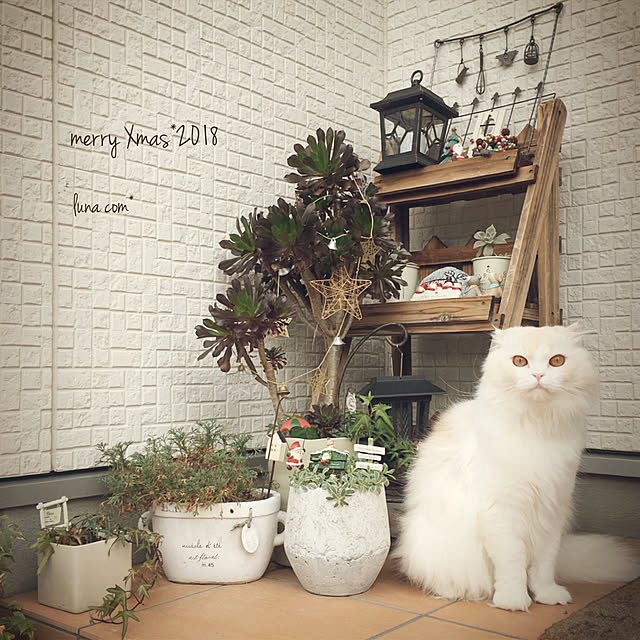 luna.comさんの実例写真