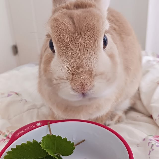 aiさんの部屋