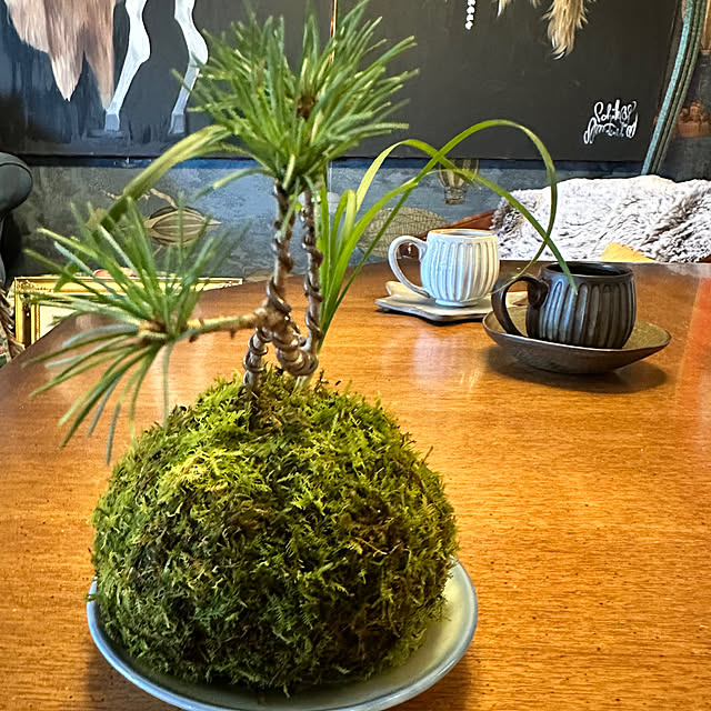 okyame-chanさんの実例写真