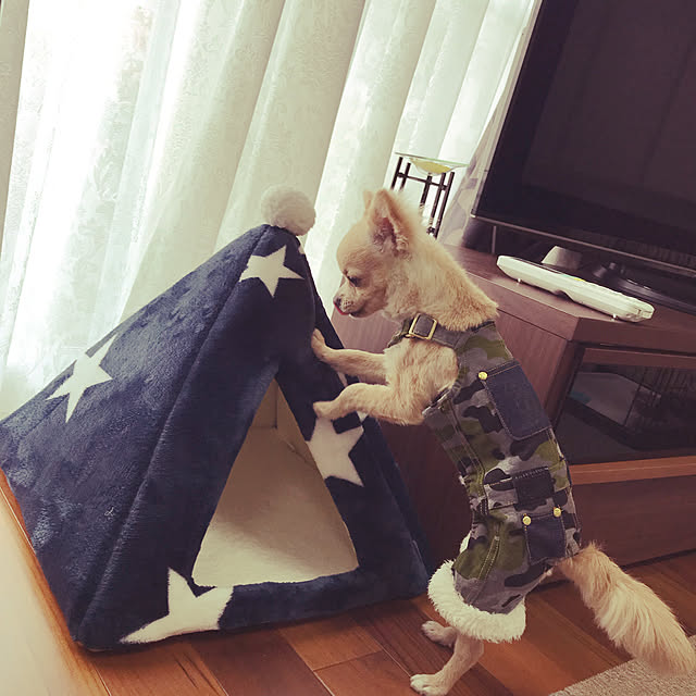 kimipyonさんの実例写真