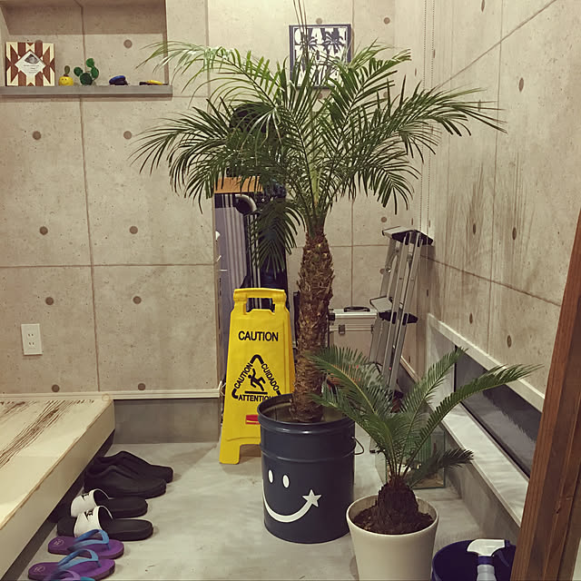 hiraforniaさんの実例写真