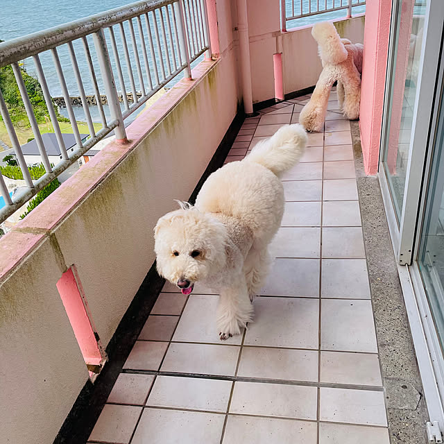 nackeyさんの部屋