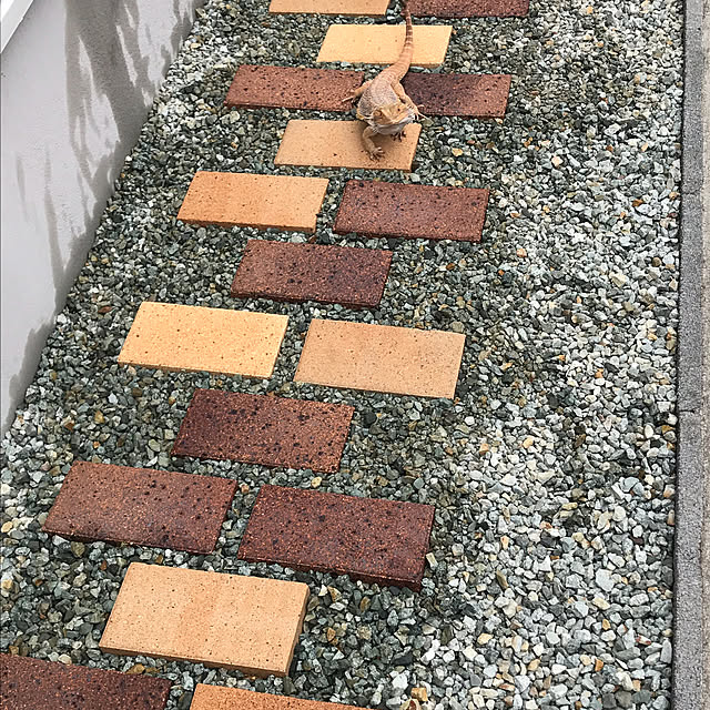 japitonさんの実例写真