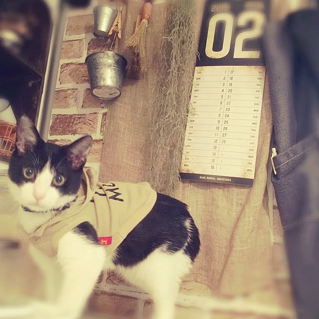 REINA612WORKSさんの実例写真