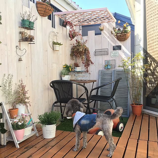 makoriさんの実例写真