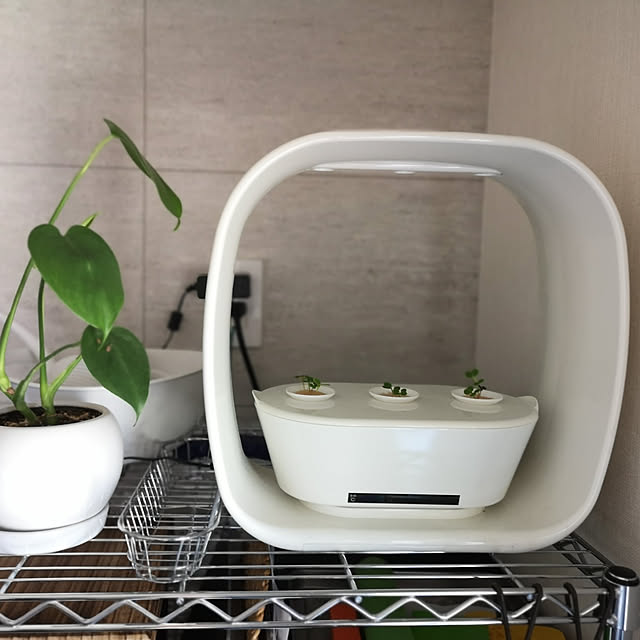 korさんの実例写真