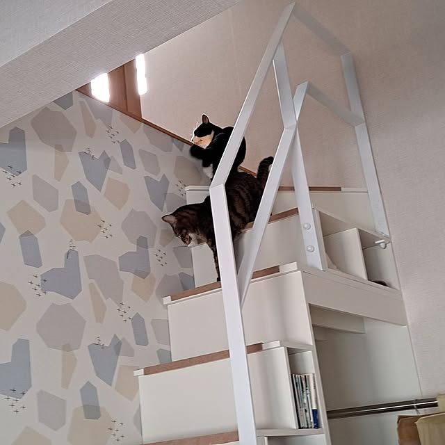 hasuroさんの実例写真