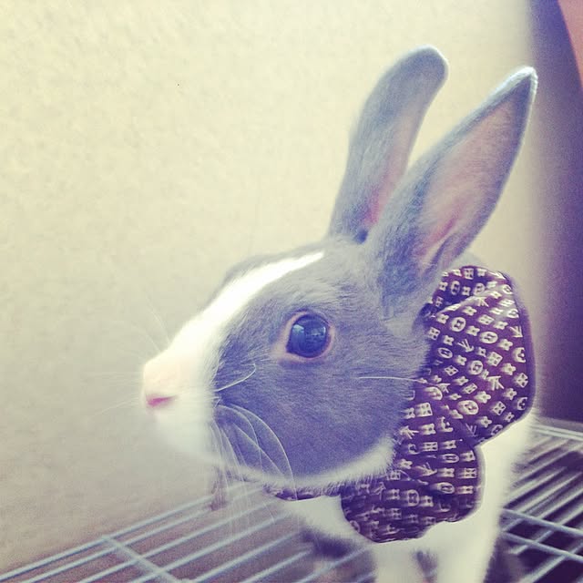 Yukiさんの実例写真