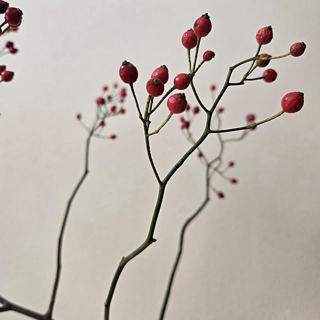 k-houseさんの部屋