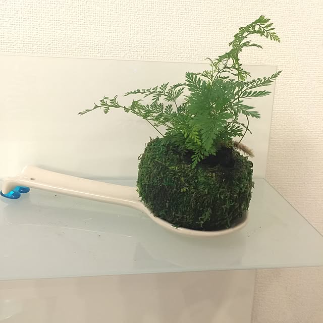 jnjnforesterさんの実例写真