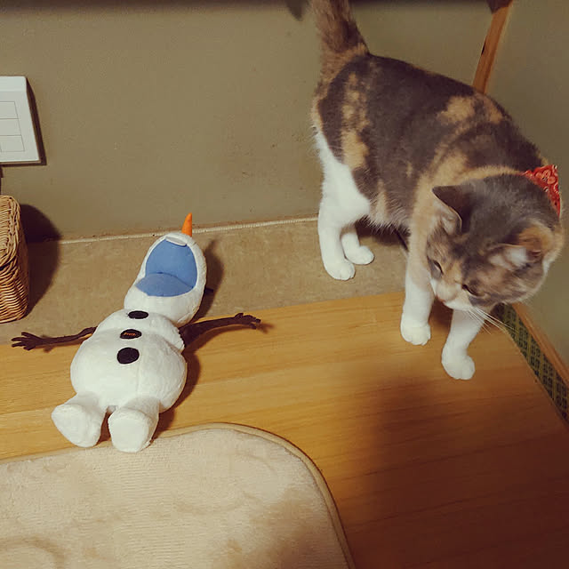 fukuさんの実例写真