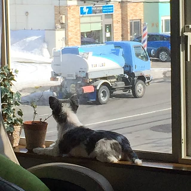 picoさんの実例写真