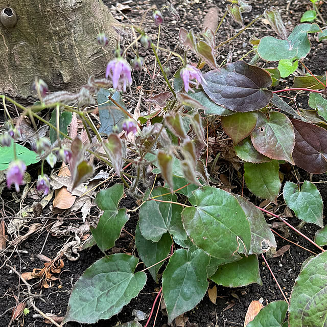 mamizaさんの部屋