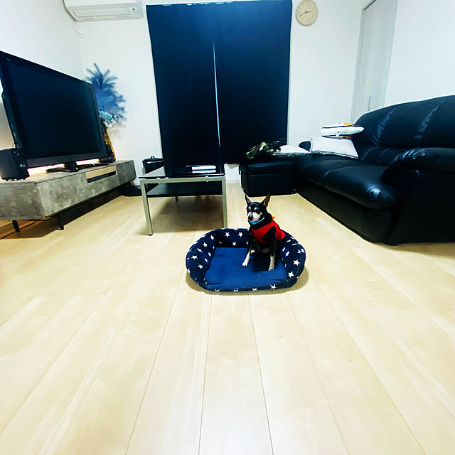 cgmrp1103さんの実例写真