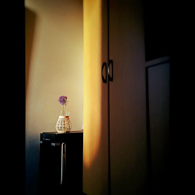 Risakoさんの実例写真