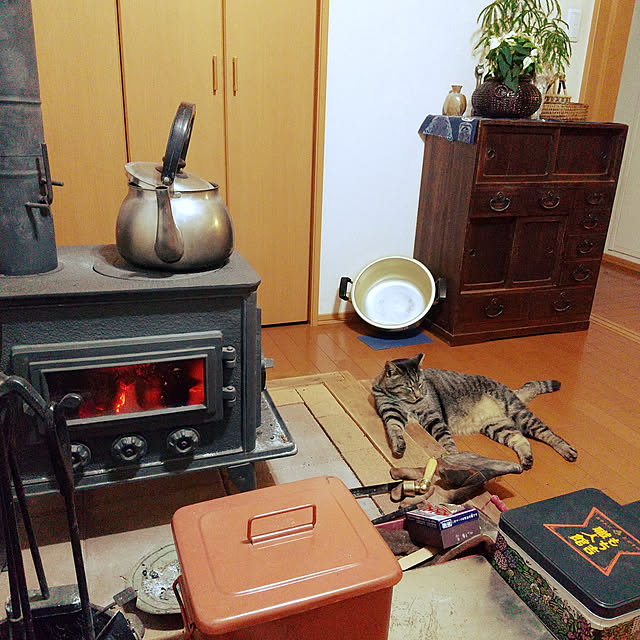komgi12さんの実例写真